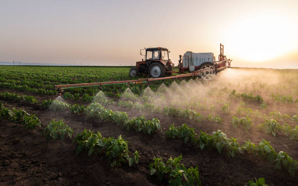 Best Pest Control for Businesses  in Fort Davis, TX