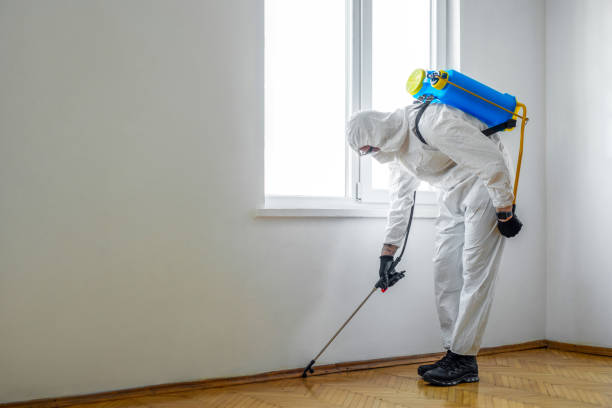 Fort Davis, TX Pest Control Company