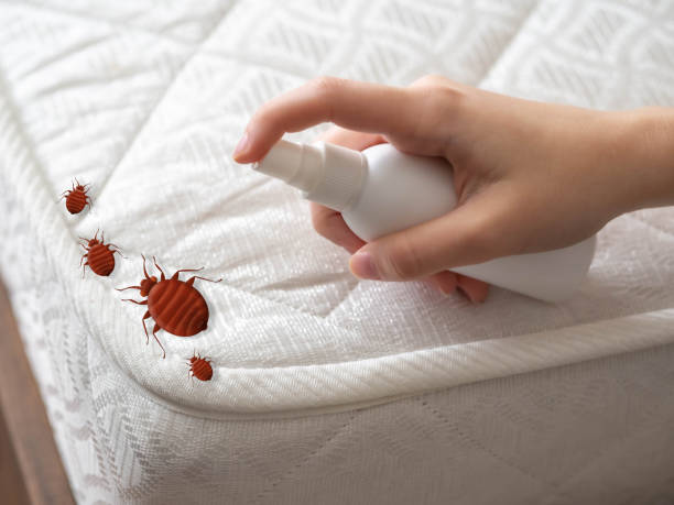 Best Best Pest Control Companies  in Fort Davis, TX
