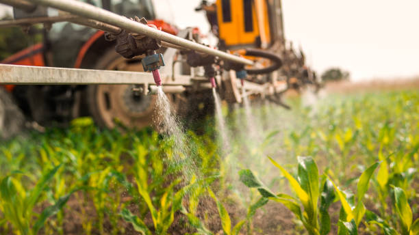 Best Best Pest Control Companies  in Fort Davis, TX